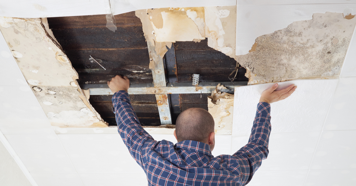 Signs Your Building Envelope Has Moisture & Water Infiltration - post