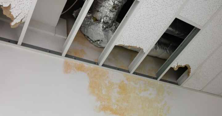 We Have a Leak! Why Hiring an Expert Service Is Key to Avoiding Costly Damage - post