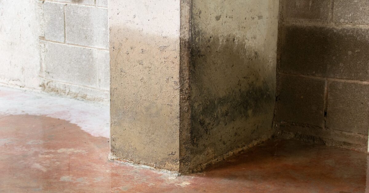 Top Ten Signs Your Building Requires Waterproofing and Restoration - post